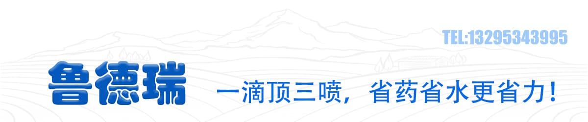鲁德瑞有机硅生产厂家电话号码