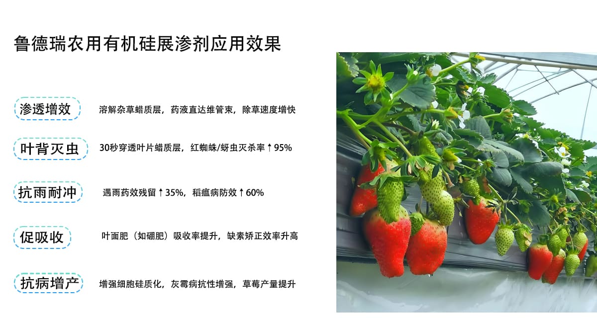 4,达到的效果.jpg