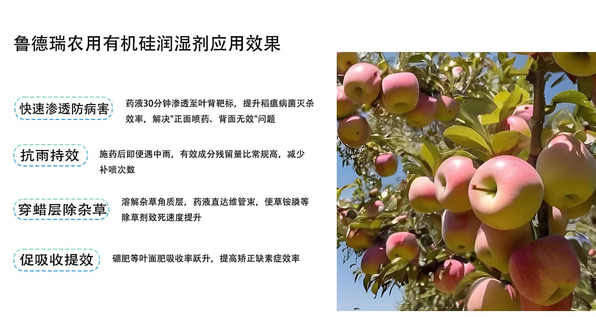 4,达到的效果 拷贝.jpg